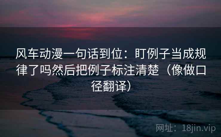 风车动漫一句话到位:盯例子当成规律了吗然后把例子标注清楚(像做口径翻译) 风车动漫一句话到位:盯例子当成规律了吗然后把例子标注清楚(像做口径翻译)